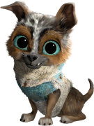 Obraz