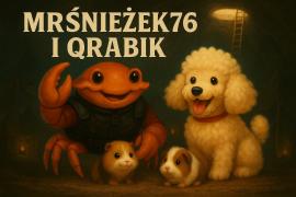 Obraz